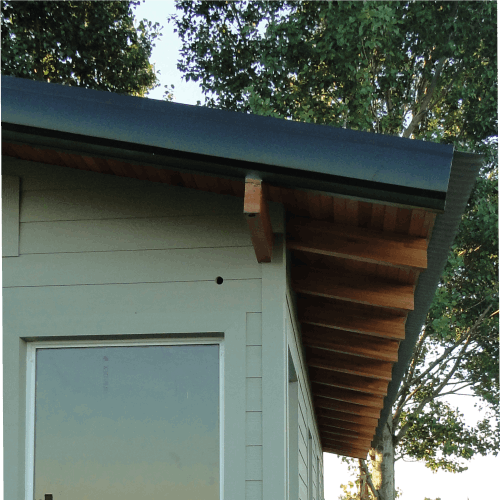 Bosque Un Dormitorio