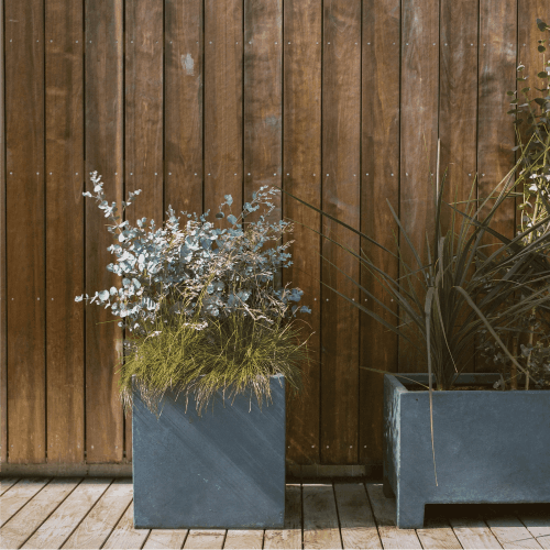 Bosque Dos Dormitorios